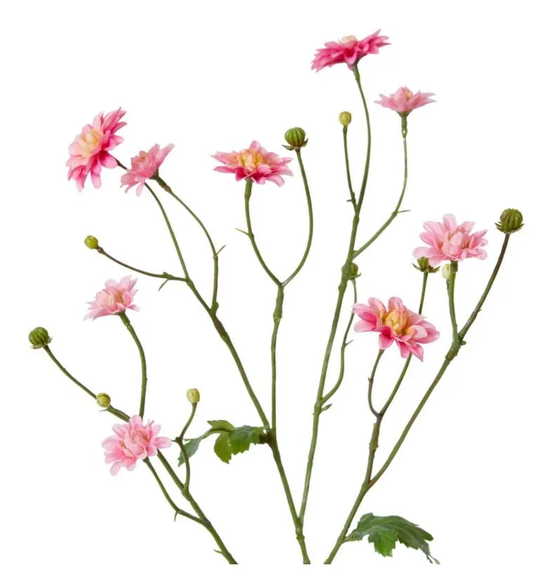 Dahlia Princess Spray