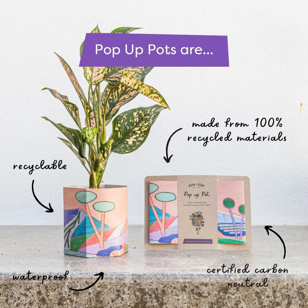 Pop Up Pot Yonder - Small - Jackie Anderson