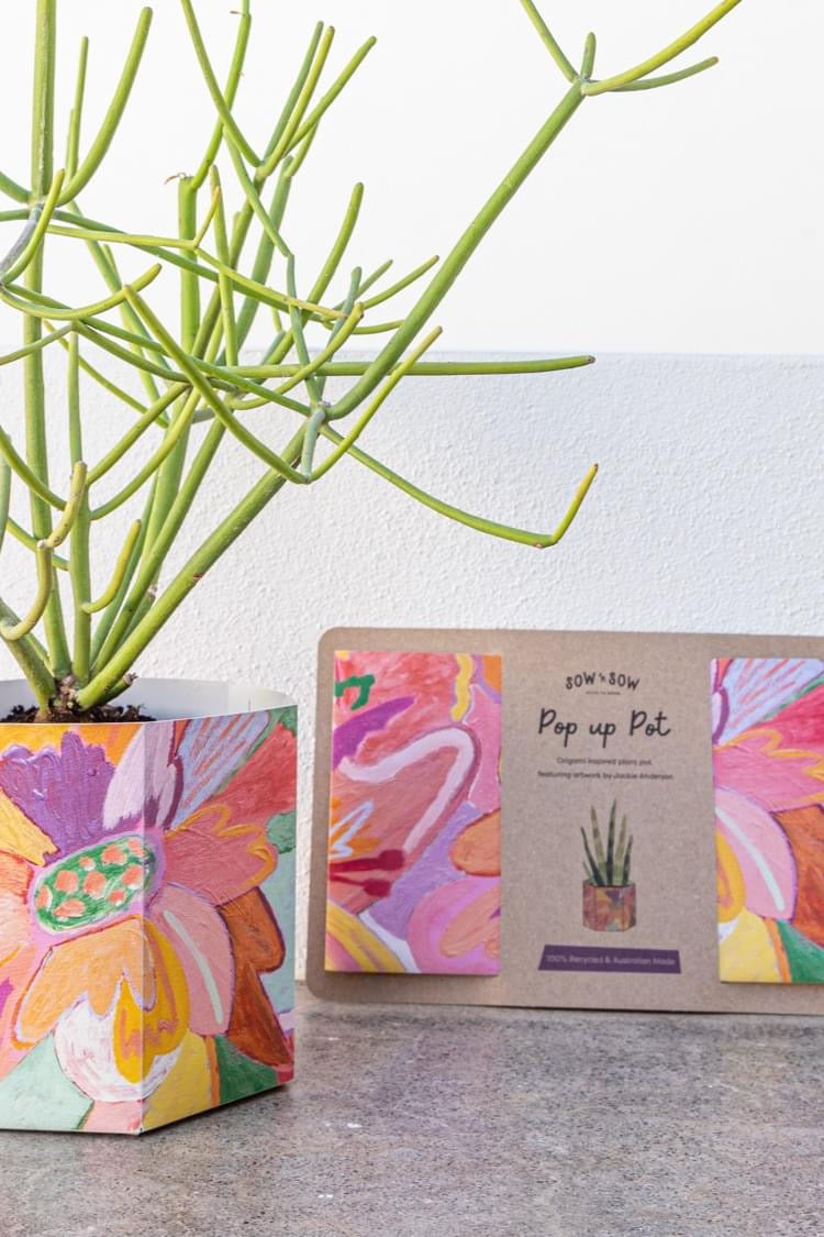 Pop Up Pot Bloom - Medium - Jackie Anderson