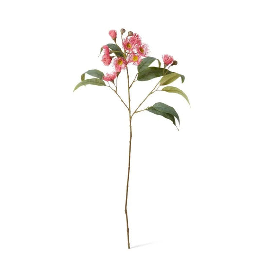 Eucalyptus Flowering Spray - Soft Pink