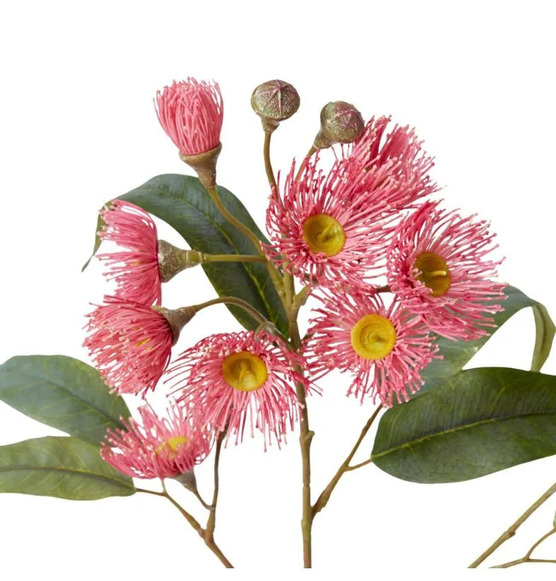 Eucalyptus Flowering Spray - Soft Pink